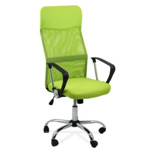 Scaun de birou ergonomic verde OFF 907