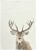 Prosop de bucatarie Sander Kitchen One Deer 50x70cm 40 original