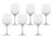 Set 6 pahare vin alb Schott Zwiesel Banquet cristal Tritan 300ml